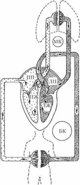 ������ ����� � ���� ���������