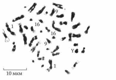 �������������� �������������� � ���������� ���������� ������