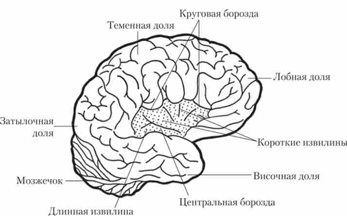 ����� ����� � �������