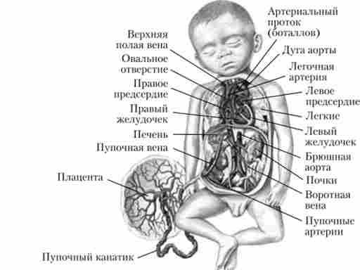 �������� ����� ������ ��������