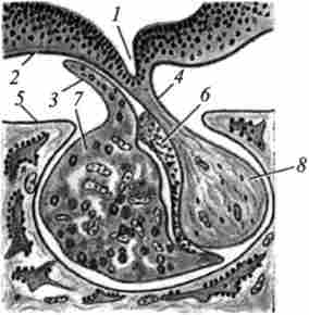 �������� �������