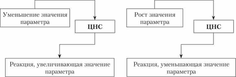 ����� ������������� � ���������� ��������� ��'�����