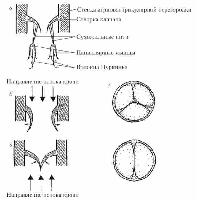������ � ������ ����������� �������