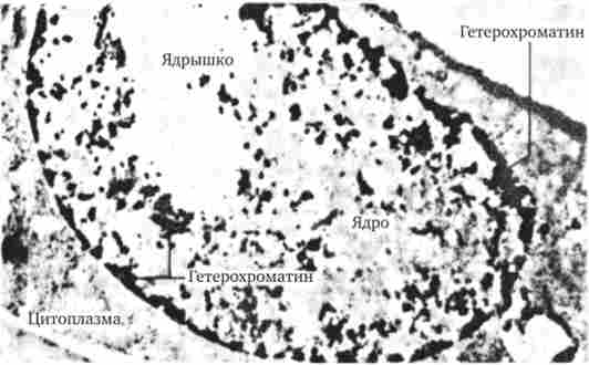 �������������� � ����������� ���