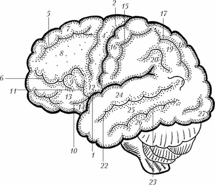 ���������� �������� ������