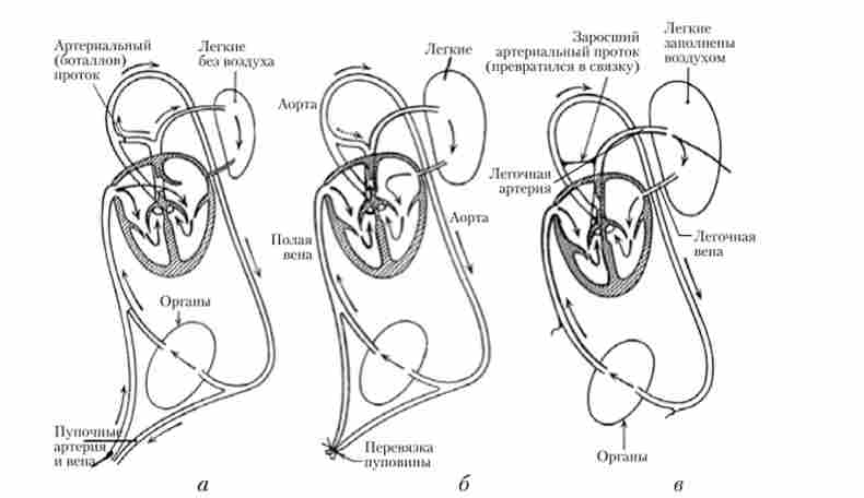 ��������� ����� ��� ���������