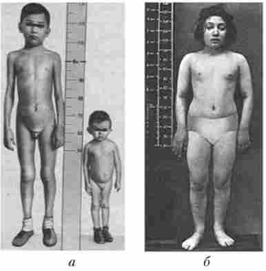 ����������� - ��������� ���������� �������