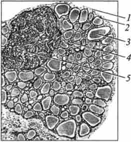 ������ ��������� � ������������� �����