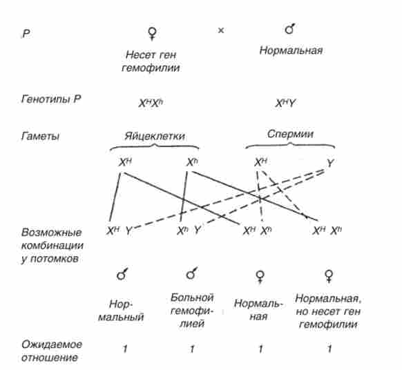 ����� ������������ �������� � ������� ������볿, ��� ����������� ��������� �� �������������� ����� ��� ����������� �� � ���������� ������