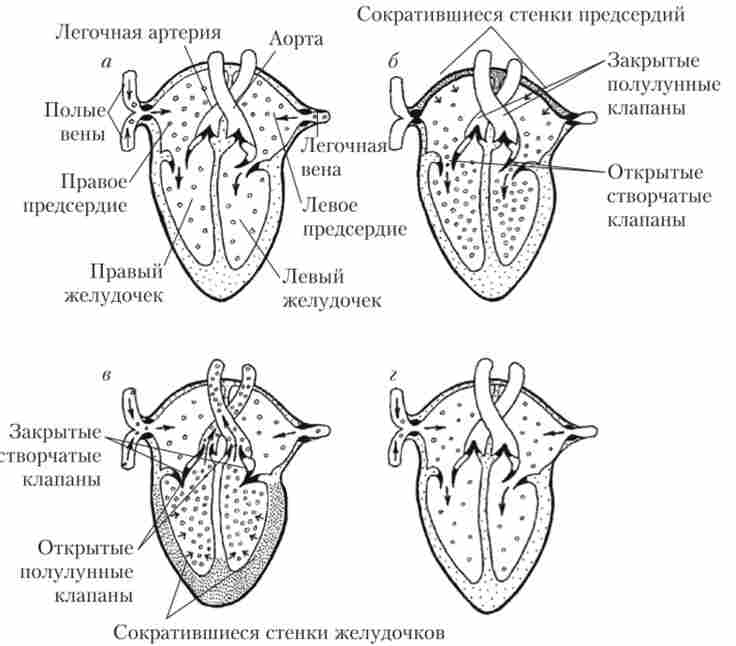 ������ �������� ����� �� ����� ����� ��������� �����