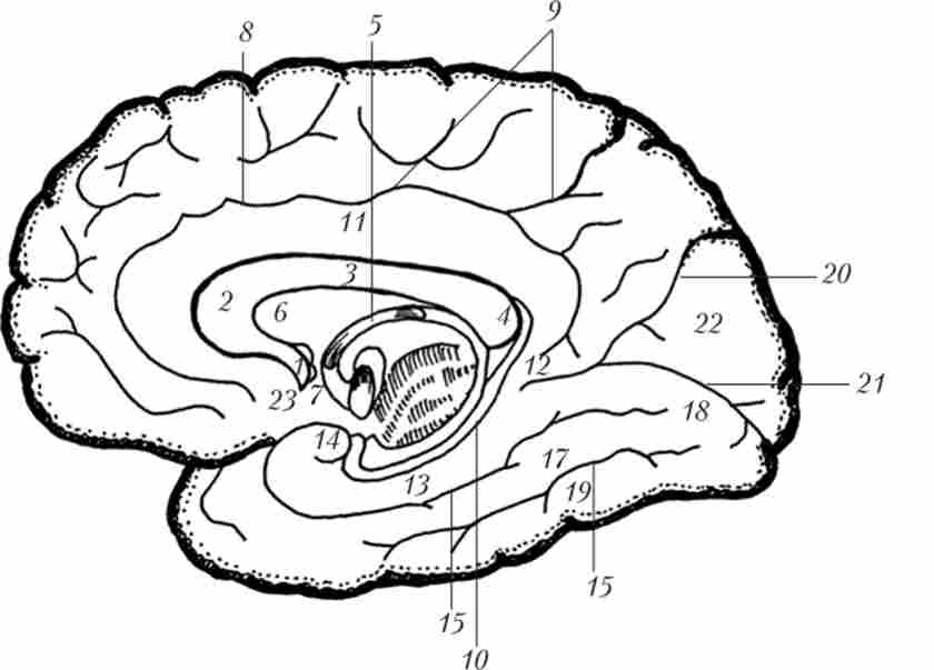 ������ �������� ������