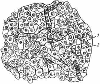 ������ �������������� ������