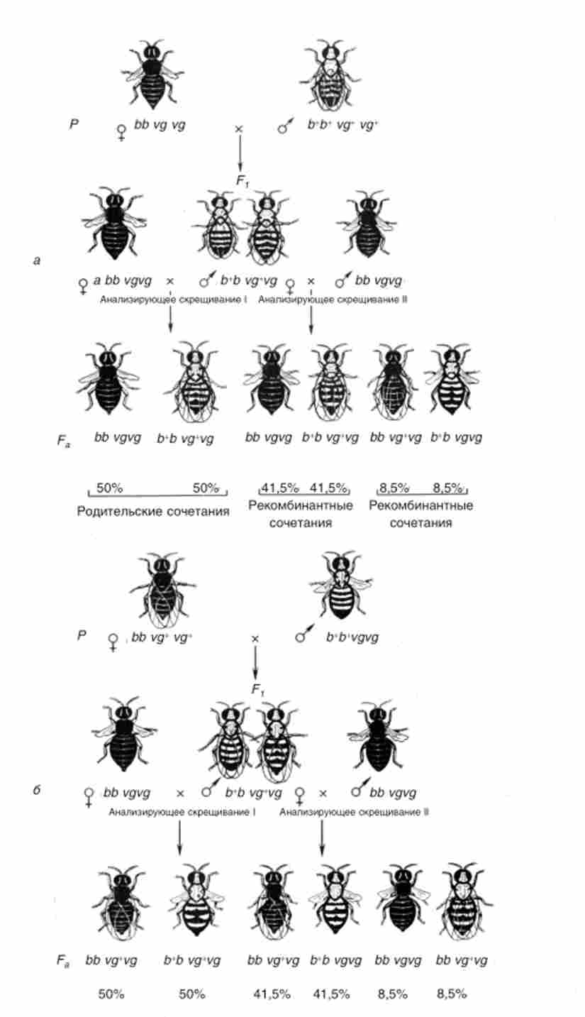 ��������� � ������������ �������� �����