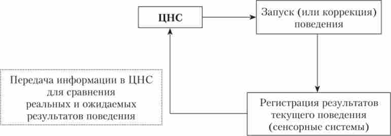 ����� ������������� �� ��������� ������������ �����