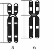 �������������� ����������� �������� ������