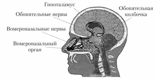 ��������������� ����� � ������