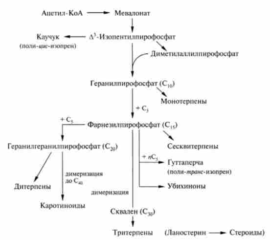 ����� ������������ ���������������������