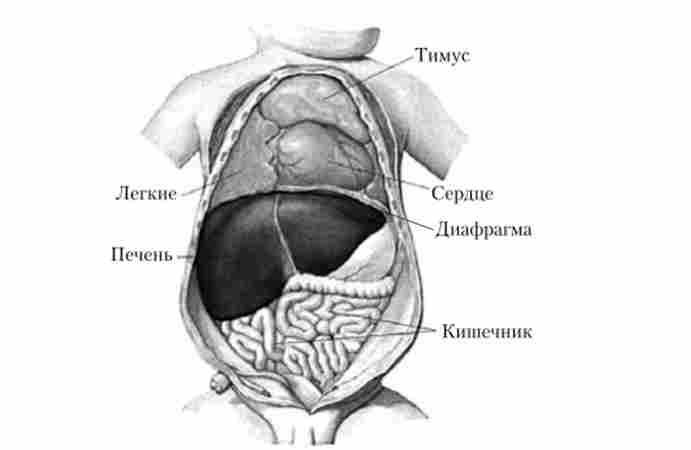 ������������� ��������� ����� � ������� ���������