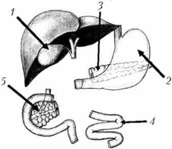 ����� ���������� ����� ��������������������� �������� � ����������� �������� � �������� �����