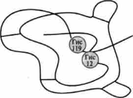 �������� ����� ������������