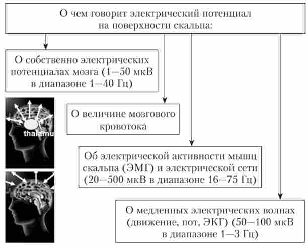 ����� ����� ������� �� ������ � �������