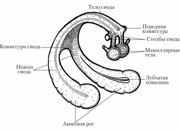 ó������ � ���