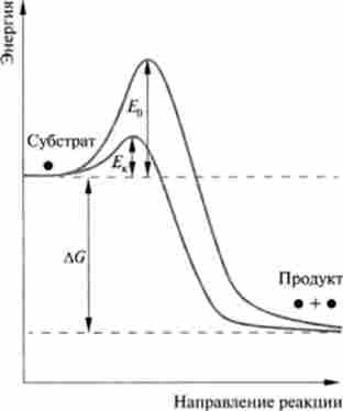 ������� � ���������� ����� ��������� �������