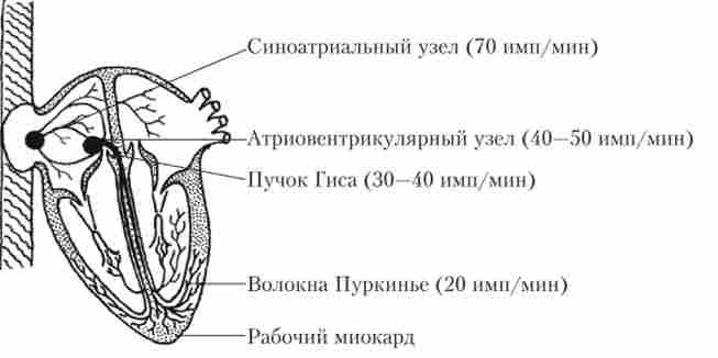 ������� �������� ������� ������� ����� � �������, � ���� ���� ������ ��������� ���������� ��������