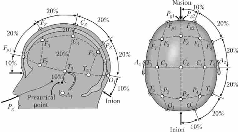 ������� 10-20 ������������ ��������� ��� ��������� ��� (��� Jasper, 1958)