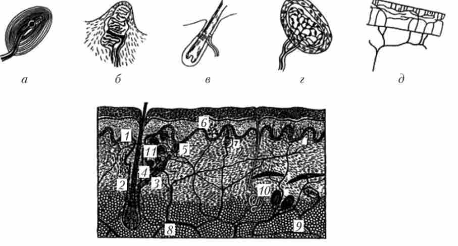 ���� ��������� ����