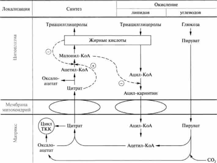 ����� ��������� ��������� � ������� ������ ������