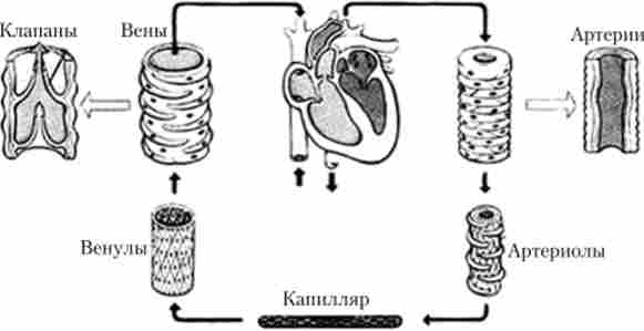 ������ ����� ������ ��������� �����