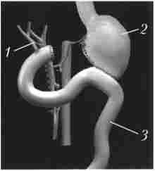 �������� ���������������������