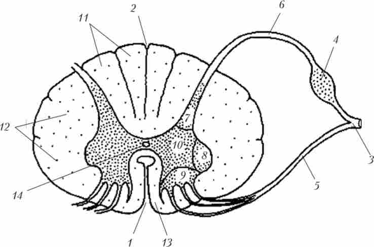 ���������� ��� �������� �����