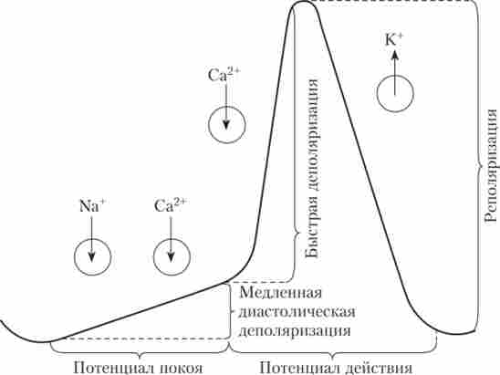 ����� ������, �� ���������� ���� ���� ���������� 䳿 ������������� ������