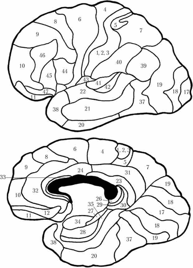 ���� ������� ������ �� ��������