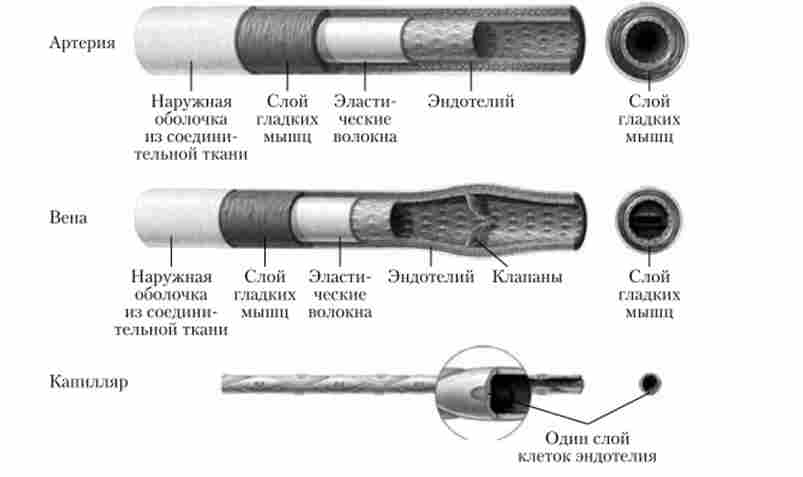 ������ ����� ����������� �����