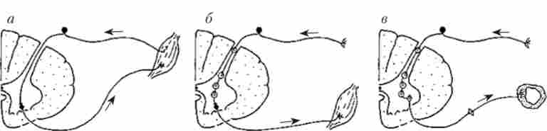 ����������� ����, �� ������������ ����� �������