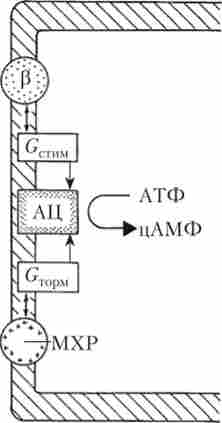 ���������� ��������, �� ��������� ������� ����������� � ��������������� ������ �� ��������� �����