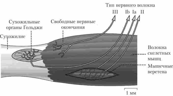 ���������������