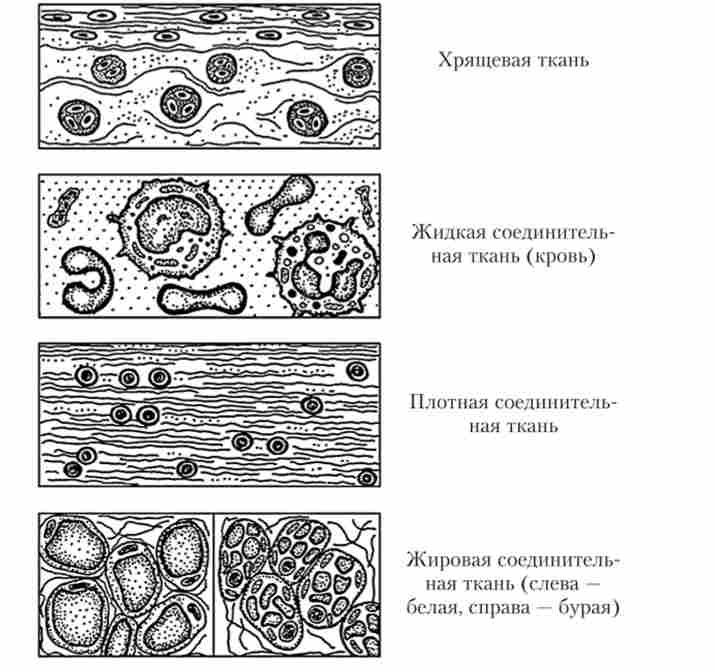 �������� �������