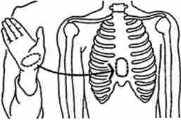 ̳��� �������� ���� � ������� ��� ���������� ��������� ������ �����