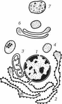 ��������������� ������ ������ �� ��������� �������