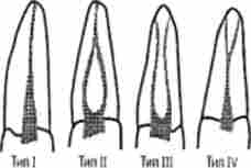 ������������ �����, ������ ���� ��������� ������ � ������ ����