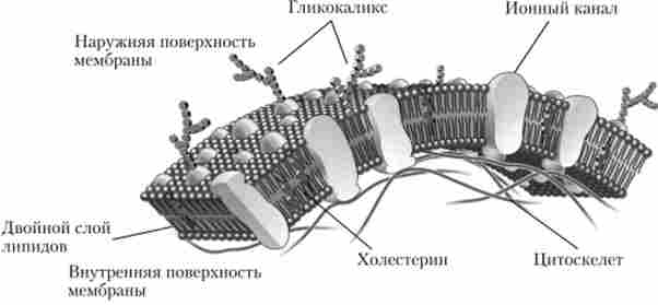 ������ �������������������