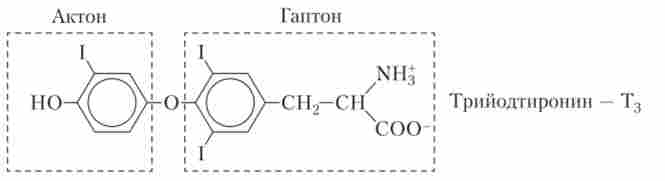 ������������ ����� � ���������� ������ � �������