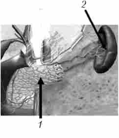 ��������� �������� ���������� ������ � ����������� ��������