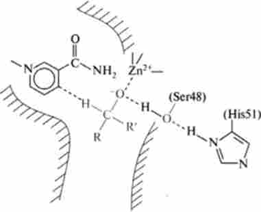 ����� ��������� ������������� ���� ��-������������ ��������� ��� ��������� ��������� ������ ����������������������