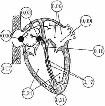 ���������� ��������� �� �����