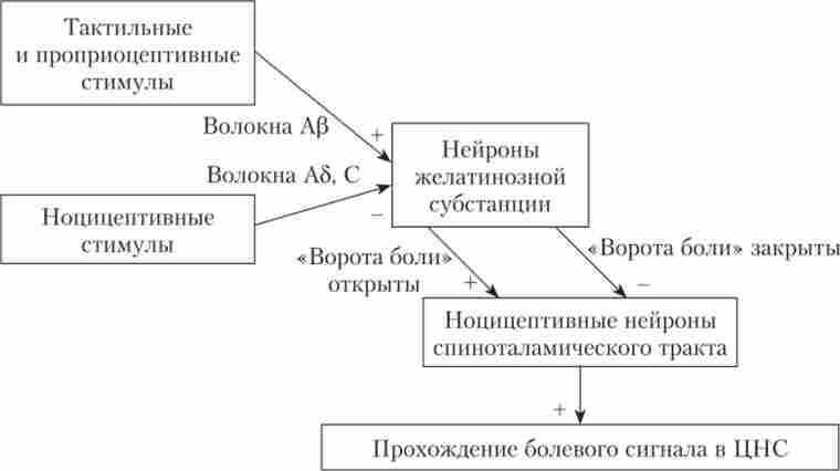 �������� ����� ������� �������� �����